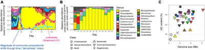 Metagenomic analysis of ecological niche overlap and community collapse in microbiome dynamics